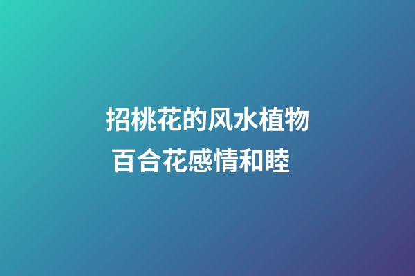 招桃花的风水植物 百合花感情和睦